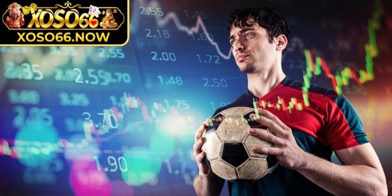 Ví dụ minh họa cách vận hành dễ hiểu