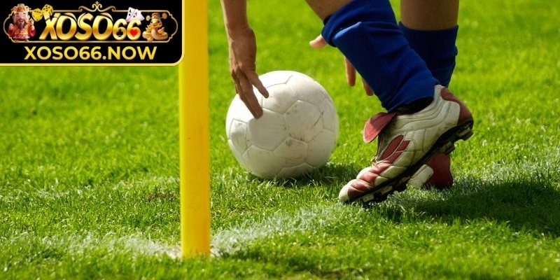 Những dạng cược được chọn nhiều nhất hiện nay