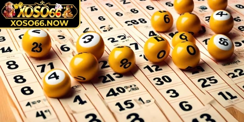 Lô bạch thủ Xoso66 là gì và cơ chế trúng tính như thế nào