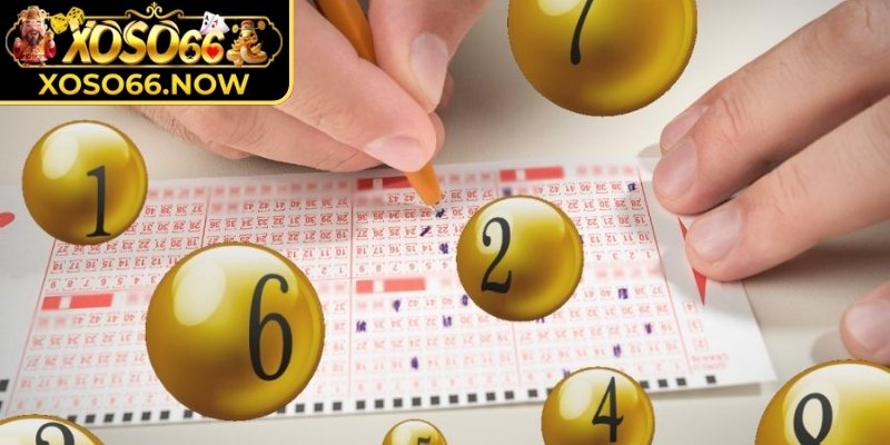 Các dạng lô phổ biến đang được áp dụng