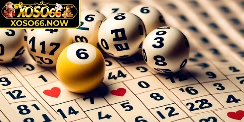 Những yếu tố cần lưu ý để nuôi lô khung hiệu quả